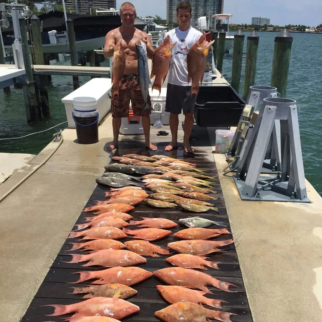 Bimini Bahamas mutton snapper spawn (6-8 hours)